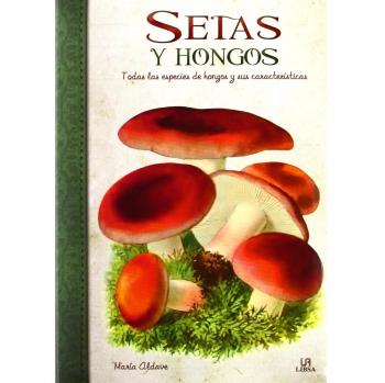 Setas y Hongos: Todas las Especies de Hongos y sus Características