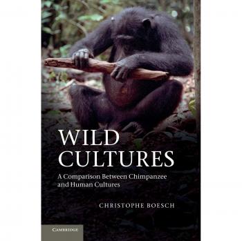 Wild Cultures: Comparative Study of Chimpanzee and Human Societies