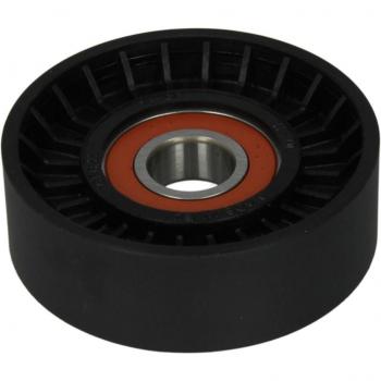Polea tensora y brazo tensor para correa acanalada en V BTA E2M0003BTA
