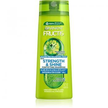 Garnier Fructis Strength & Shine Shampoo for Stronger and Shinier Hair 250 ml