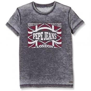 Pepe Jeans Timothy - Camiseta para niños, color gris