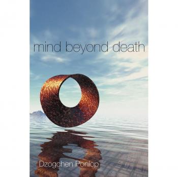 Mind Beyond Death