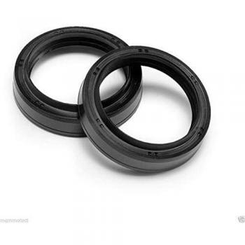 Ariete ARI.048 ARI.048 - Pareja de Aceite 30 x 40,5 x 10,5/12 TCL, Negro