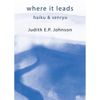 Donde lleva: Haiku y Senryu - Edición en rústica