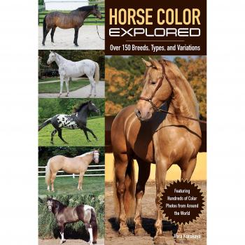 Horse Color Explored: Over 150 Breeds, Types, and Variations