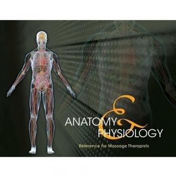 Anatomy & Physiology Reference for Massage Therapists, Spiral bound Version