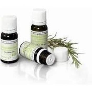 Salvia Real Aceite Esencial Bio 10 ml de Pranarom