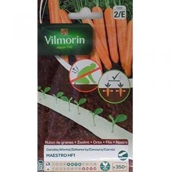 Vilmorin 2 Cintas 350 Semillas de Zanahoria Maestro HF1
