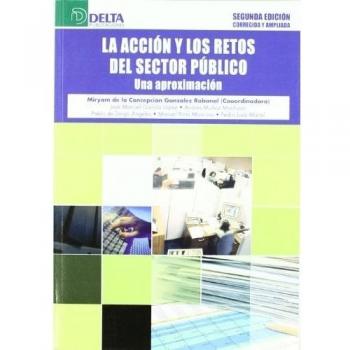 La acción y los retos del sector público: una aproximación