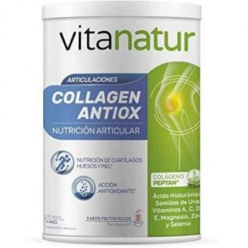 Vitanatur - Collagen Antiox, Complemento Alimenticio con ingredientes que poseen Acción Antioxidante y Nutrición Articular, Sabor Frutos Rojos - 360 g