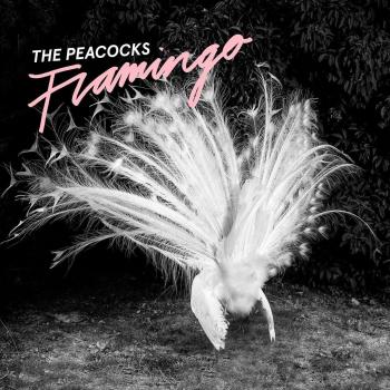 Peacock-Flamingo Decorative Figurine