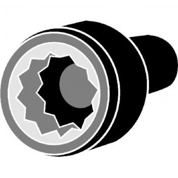 Juego de tornillos de culata CORTECO 016819B