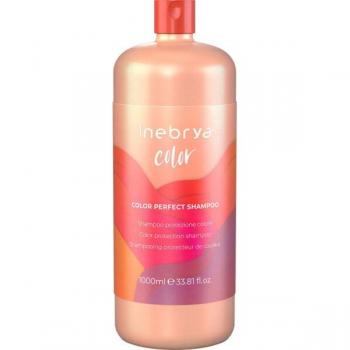 Champú Protector del Color Inebrya Color Perfect 1000 ml
