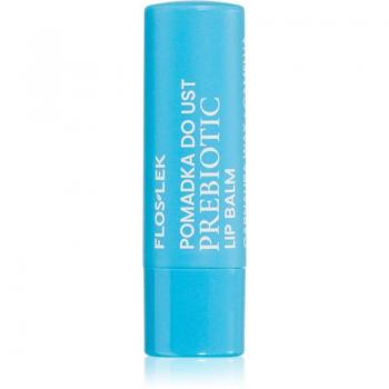 FlosLek Laboratorium Prebiotic Lip Care Lip Balm with Regenerative Effect 4 g