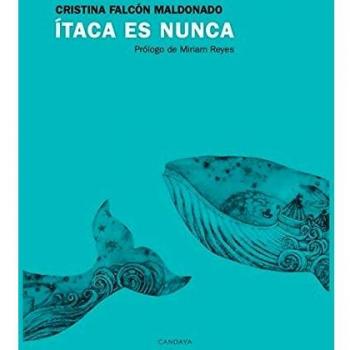 Ãtaca es nunca: 24