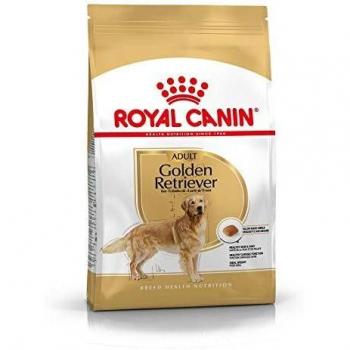 ROYAL CANIN Golden retriever dog dry kg.3 - Dog feed dry croquettes