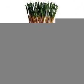 Bayberry - 100 Wildberry Incense Sticks by Wildberry