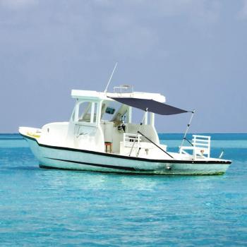 Extensión T-End Toldo Azul Marino 170x208x(115-183) cm
