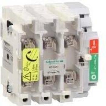 Interruptor seccionador con fusible Schneider Electric GS1JD3, 100A, 3 polos, Fusible 22 x 58mm