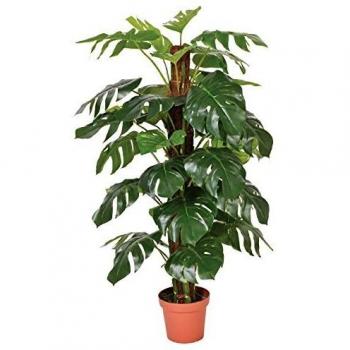 Catral 74010020 Planta artificial Monstera, 22.0x22.0x135.0 cm