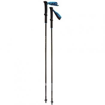Black Diamond Distance Carbon - Bastones de senderismo - gris Longitud 130cm 2015