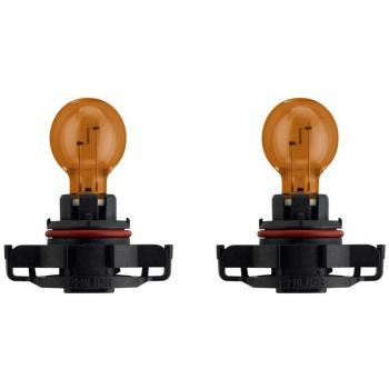 Bombilla Coche Philips PSY19W 12V 19W Standard