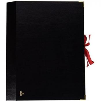 Carchivo - carpeta archivador acordeón de cartón con 20 departamentos, color negro
