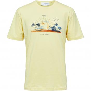Selected Relaxed Collar T-Shirt