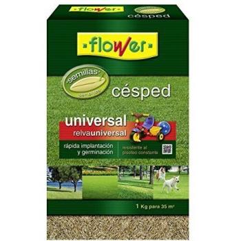 Flower 10789 - Semilla césped Universal, 1 kg
