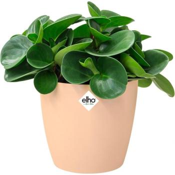 Maceta Bruselas Nude 16x15cm 2,2L