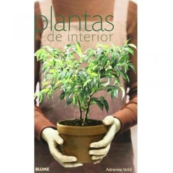 Plantas de interior