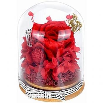 Rosa Eterna, AOKKR Flores Preservadas Hechas a Mano, Rosa Eterna con Caja de Regalo en cúpula de Vidrio con Una Cinta y Una Tarjeta de Deseos Regalo para Mujer de Aniversario Regalos para Madres Roja