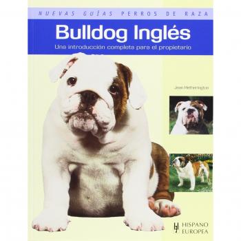 Bulldog Inglés