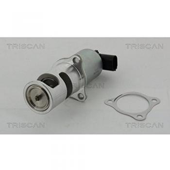 Válvula EGR Electrónica TRISCAN 8813 24037 con Juntas para Renault Trafic 2, Espace 4, Clio 2 y Opel Vivaro A