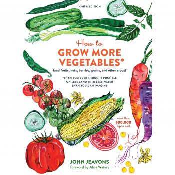 How to Grow More Vegetables: