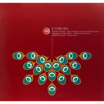 Naked Ground Electronica Vinyl Remix by Fedreghi