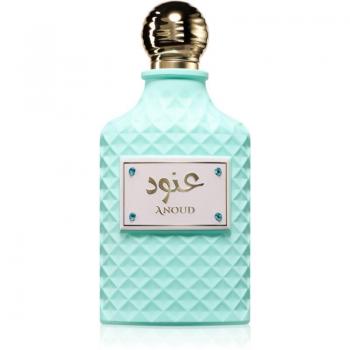 Anoud Unisex Eau De Parfum Spray 100 ml