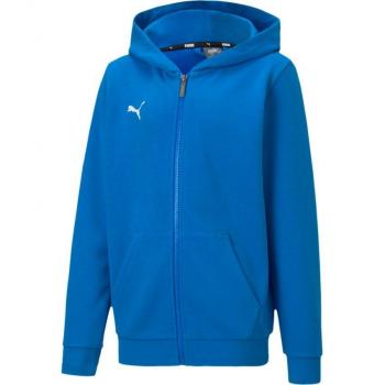 Puma TeamGOAL 23 Kids Hooded Sweatshirt with Zip