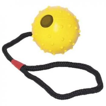Gloria Pets Pelota Con Cuerda De Goma Para Perros 30 cm