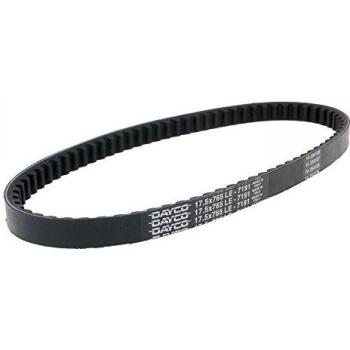 Correa de transmisión Dayco 7191 para Peugeot 50cc, compatible con modelos Buxy, Elyseo, Elysstar, Jet Force, Ludix, Speedake, Speedfight y Vivacity - Dimensiones: 17