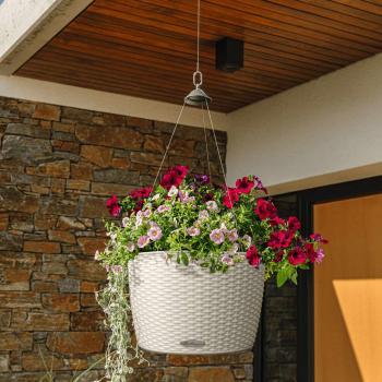 Macetero Colgante Lechuza Nido Cottage 35 All-in-One Gris Claro