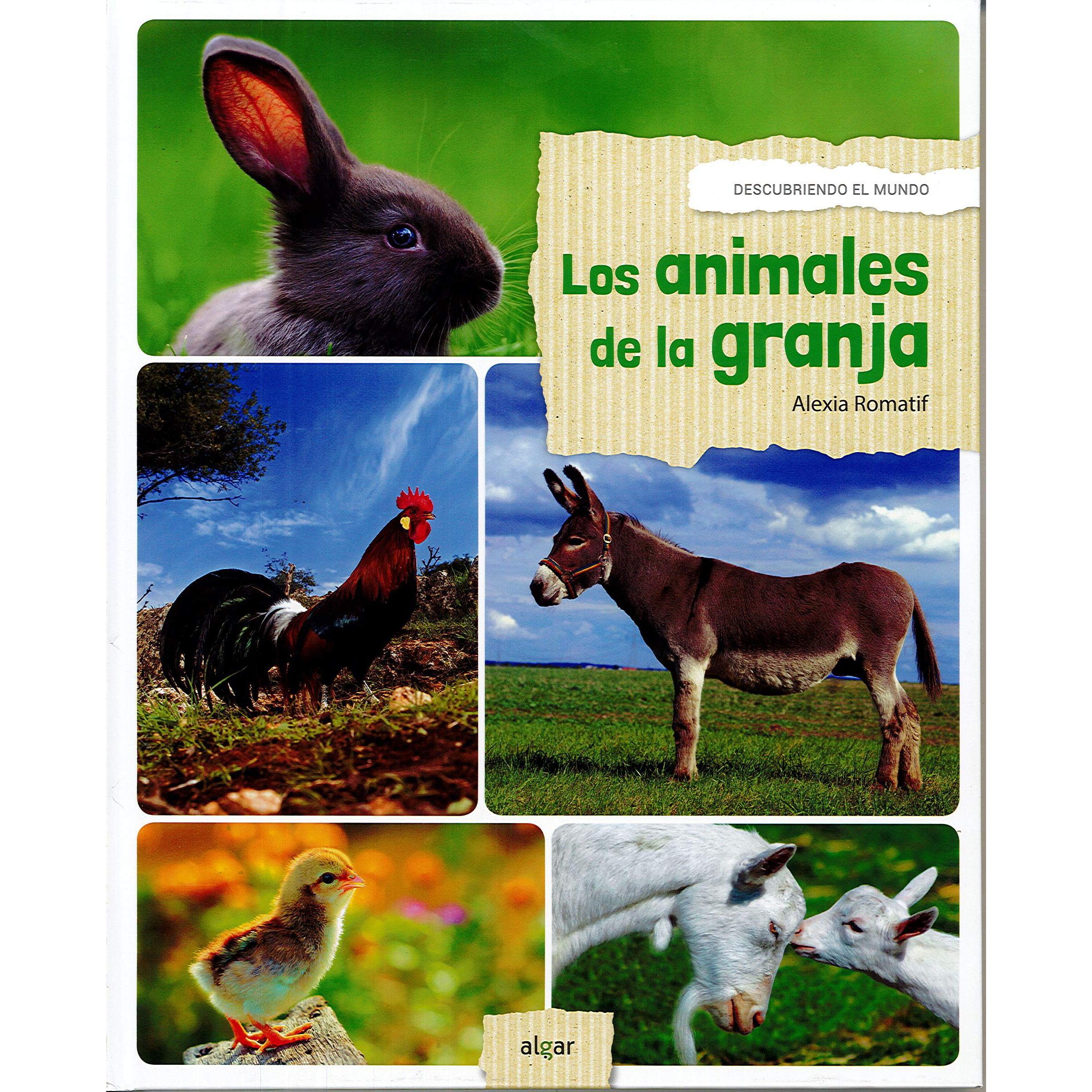 Imagen Principal