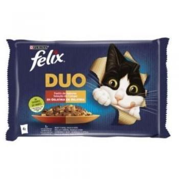 Felix Fantastic Duo Festín de Sabores Multipack Comida Húmeda para Gatos en Gelatina, Selección de Carne 4 Variedades (Buey y Aves, Pollo y Riñón, C