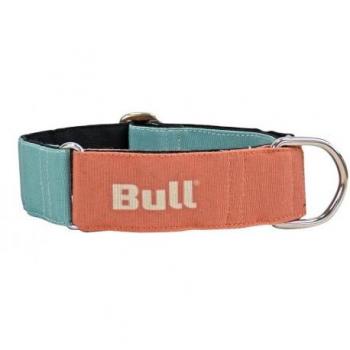 Collar de Diseño para Galgo en Naranja y Turquesa con Ajuste Perfecto