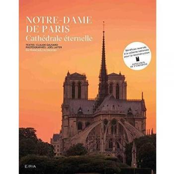 Notre-Dame de Paris: A Medieval Cathedral - Illustrated Book