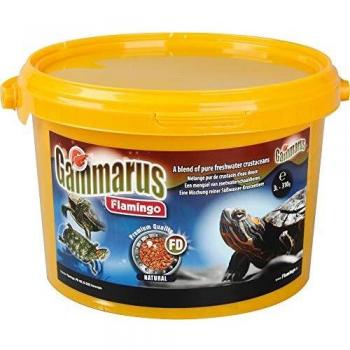 Gammarus 3L - Alimento Natural para Tortugas Acuáticas