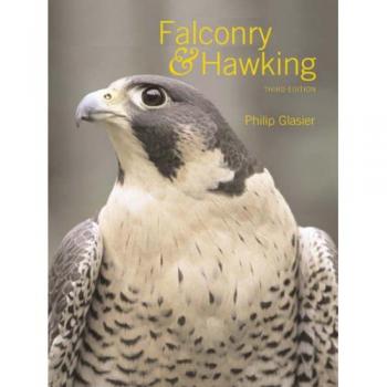 Falconry and Hawking