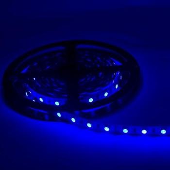 Cinta LED 12V 5M Azul IP54 SMD 2835 60LED/m con Control Remoto - SILAMP