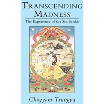 Transcending Madness: The Experience of the Six Bardos (Dharma Ocean Series) by Chögyam Trungpa