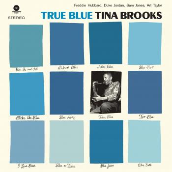 Vinilo True Blue - Alta calidad, duradero y resistente al agua